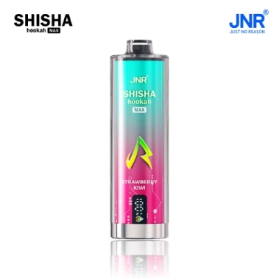 Shisha Max 22K Puffs Disposable Vape 5pcs/pack